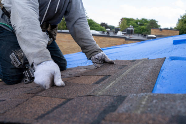 Best Flat Roof Repair Services  in Warm Springs, CA